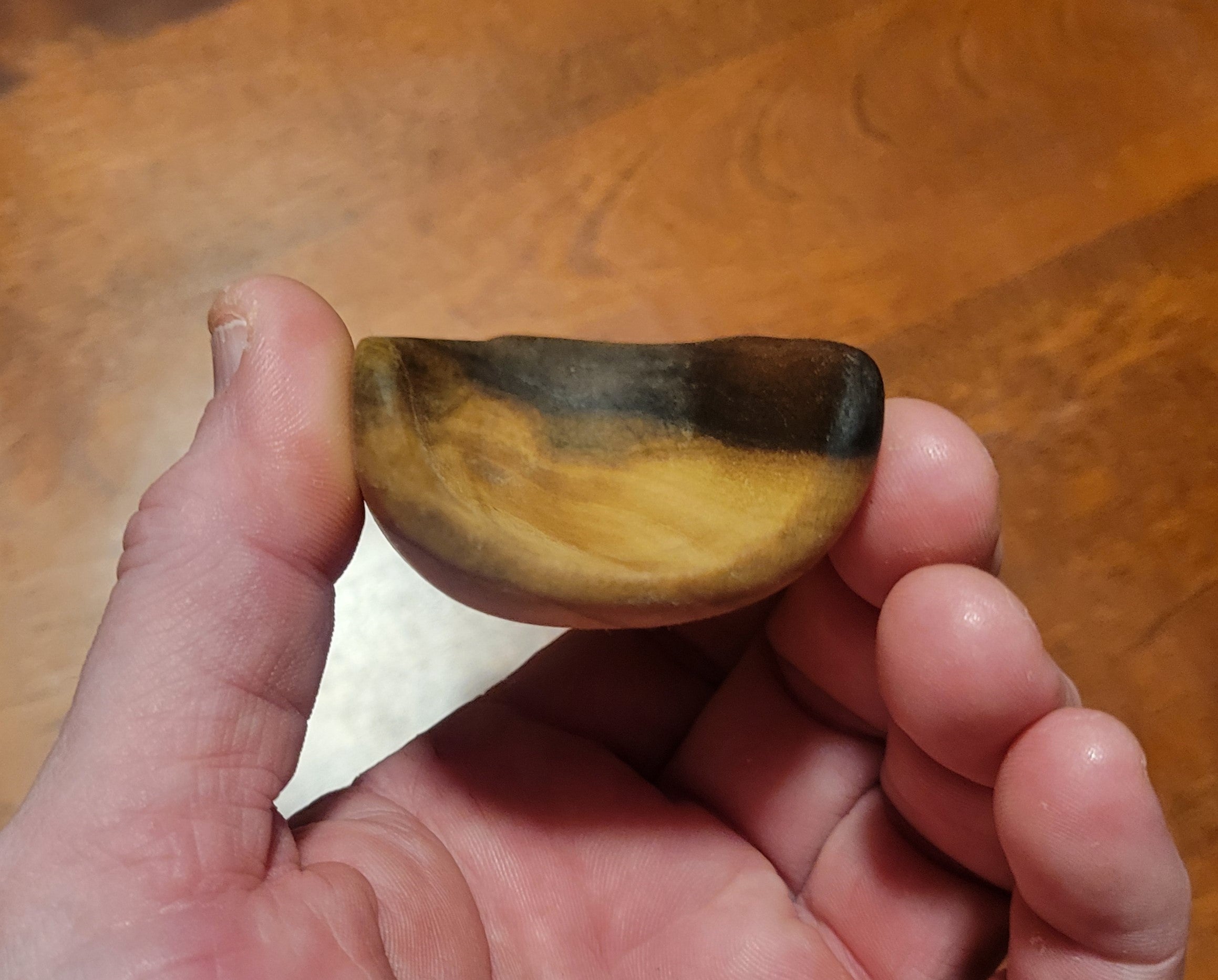 Small Scoop in Poplar